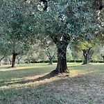 Beb La Nociaia Bed & Breakfast