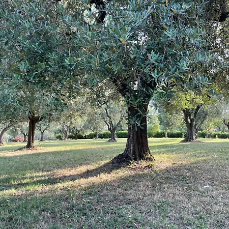 Beb La Nociaia Bed & Breakfast