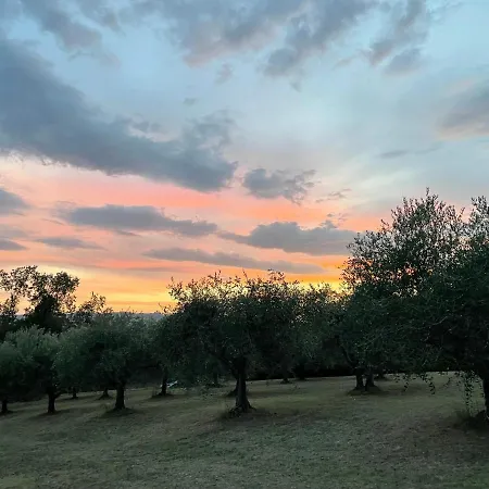 Bed & Breakfast Beb La Nociaia