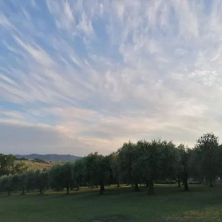 Beb La Nociaia